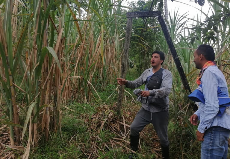 acerca_de_greencommerce2