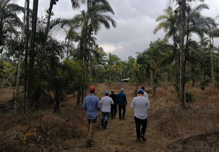 acerca_de_greencommerce4