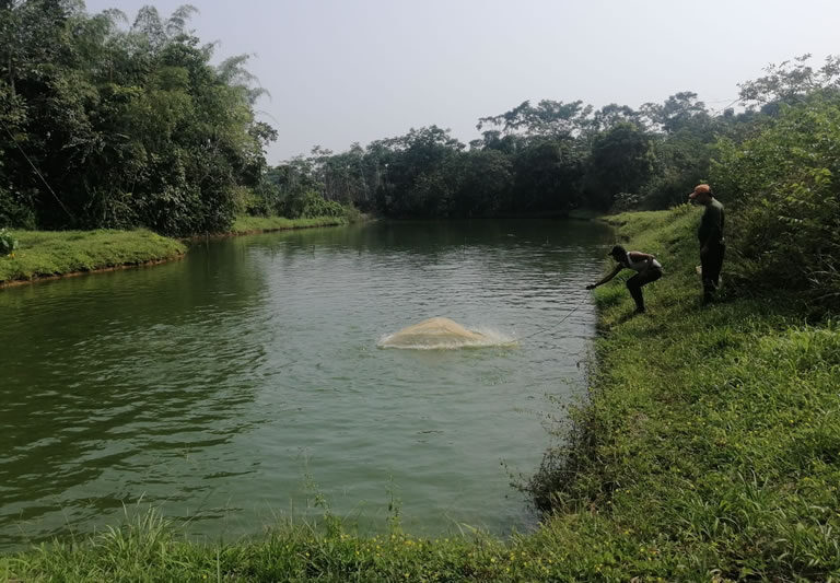 acerca_de_pescadores_greencommerce3